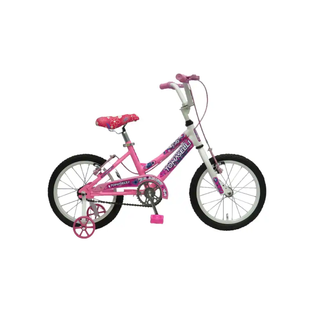 Bicicleta tomaselli discount lady rodado 24